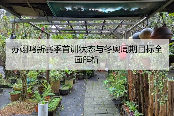 苏翊鸣新赛季首训状态与冬奥周期目标全面解析