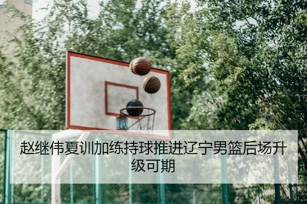 赵继伟夏训加练持球推进辽宁男篮后场升级可期